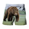 Mäns shorts Ryssland Style Brown Bear Graphics 3D Print Summer Men's Quick Dry Swimming Oversimase Casual Beach Pants Men kläder