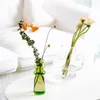 vase小説用ガラス花瓶モダンなシンプルなスタイル