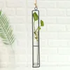 VASES NORDIC HYDROPONIC GREEN PLANT CONTERER ROPE IRON PENDANT FLOWERPOT HOME ORNAME