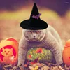 Kostiumy kotów Halloween 15G Pet Hat z 20 cm Długość dżenko -elastyczna opaska | Rekwizyty z regulacją akcesoriów dla psów