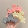 Korean New Fashion 9cm Medium-Size Plastic Hair Clip Claw Simple Jelly Scrub Color Flower Shark Clip Hair Accessories