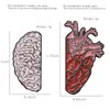 Broschen Neuartige Hälfte Gehirn Herz Blutgefäß Spleißen Menschliche Organ Brosche Emaille Pin Zubehör Schmuck Geschenk Für Ärzte