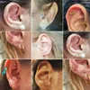 Stud 1PC Fashion 16G Ear Studs Stainless Steel Helix Cartilage Earrings Punk Snake Conch Lobe Tragus Piercing Earrings Sexy Jewelry J230529