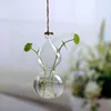 Vaser vas boll hem dekor glas blomma växt stativ hängande terrarium container europeisk mikrovy