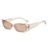 Zonnebrillen 2023 Fashion Cat Eye Women Men Men Vintage PC Lens Frame Trend Slender Type Brandontwerper Casual brillen UV400