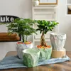 Vasen, kreativer fleischiger Blumentopf aus Keramik, einfache Gartenarbeit in Nordeuropa, Marmormuster, kleine grüne Pflanzen im Topf