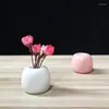 Vases Céramique Bijoux Pomme Bouteille Vase Artisanat Ameublement En Gros Vente Spéciale Simple