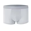 Underpants Boxers Briefs Men Boxer Sexy Underwear Transparentes Hombre Panties Shorts Lingerie Summer Ice Silk BoxerShorts