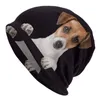 Berets uroczy jack russell terrier czapka unisex zima ciepła maska ​​femme czapki dzianin