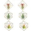 Lagringsflaskor 6 PCS Luftverk Holder Mini Metal Tablettdekor Modern Geometric Planter Tillandsia Display Stand Himmeli