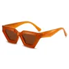 Rahmen Neue Polygonale personalisierte Trend-Sonnenbrille mit dickem Rahmen und Diamant-Ins-Sonnenschutzbrille