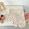 Компания одежды Summer Baby Girl 2pc одежда набое