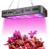 Full Spectrum Phytolamp för växter 2400W COB LED Grow Light Grow Lamp för inomhusväxtblommande utsäde Hydroponics Stytem