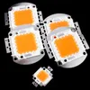 10W 20W 30W 50W 70W 80W 100W COB Led Chip integrato Faretto fai da te Street Flood Light 6500K 4000K 3000K per fiori fai da te Lampada da coltivazione Piantine Indoor Crestech888