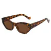 Óculos de Sol Clássico Cat Eye Feminino Luxo Plástico Feminino Óculos de Sol Masculino Sombras Retro Outdoor Gafas Cateye Eyewear