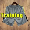 2023 2024 Gremio Soccer Shorts Elkeson Ferreira Geromel Leiva Campaz Diego Souza Kannemann 23 24 Voetbalbroeken Training