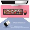 Combos Belk Small Fresh Macaron Color Wireless Keyboard and Mouse Set Figle Girls Belle Chocolate Infinite Couleur 2.4g Wireles Clavier