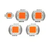 Hochleistungs-COB-LED-Chip, LED-Perlen, Lichtquelle, 30 MIL, 35 MIL, 45 MIL, 10–50 W, 100 W, Diode, Pflanzenwachstumslicht, 380 nm – 840 nm, Glühbirne, Perlen für Blumen, Wachstumslampe, usalight