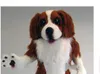 Spaniel Dog Mascot Robe Costume personnalisé Costume thème mascotte carnaval publicitaire Halloween Suit Party Role Role