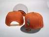 Handskar som kör baseball het utrustade sommaren enkel bokstaven solhatt för unisex tiger djurbroderi strand justerbar mössa