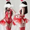 28% OFF Ribbon Factory Store Série de soutiens-gorge de lingerie sexy pour femmes avec filet de pêche de Noël