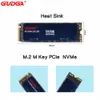 Drives Gudga SSD NVME M2 256 Go 128g Disque interne solide Solid Disque M.2 PCIe 3.0 * 4 Drive à l'état solide pour les tablettes d'ordinateur portable 2280SSD NVME M2