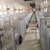 corral de cerdos vivero pocilga jaulas de animales cría de cerdos plan de negocios fábricas de productos al por mayor equipo de pocilga personalizado