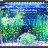 Éclairages Aquarium Fish Tank Light Étanche LED Pompe À Bulles Bar Lumière 23/30/45/52 cm Décor Éclairage Lampe Sous-Marine 24 Clé Télécommande