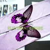 Женщины носки колготки с милым припечатками бабочки Harajuku Lolita гладкие и тепловые технологии супер растягивающие трусики леггинсы для девочек любовь