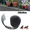 Klatki 2M pies cat scat mat mata odstraszający odstraszający plastikowy Scarer Spike Tool Polipropylelen Mat Household Garden Tools