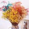 Decoratieve Bloemen 40-120g Kleurrijke Gedroogde Baby Adem Geconserveerde Bloem Boeket Bruiloft Decoratie Arrangement Gypsophile Nordic Home Decor