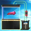 Accessori Scaldaacqua esterno per acquario, riscaldatore, asta riscaldante esterna per acquario, controllo della temperatura di circolazione dell'acqua dell'acquario.