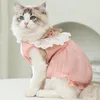 Katzenkostüme, schönes Sommerkleid, helle Farbe, weicher Hund, Haustierkleidung, Prinzessin