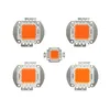 COB LED Chip Beads Light Source Source 30mil 35mil 45mil 10-50w