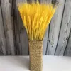装飾的な花50 PCS天然小麦の耳の花は結婚式のパーティーのために乾燥しています小さな工芸イースターデコレーション2023ギフト