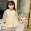 Fille robes filles 2023 printemps mariage enfants fête d'anniversaire princesse robe enfants point maille à manches longues enfant en bas âge bébé Tulle