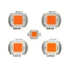 Cob Chip Chip Pulaki LED Źródło światła 30mil 35mil 45mil 10-50W 100 W Światło słoneczne Pełne spektrum rośliny Wzrost światło 380 nm - 840 nm dla kwiatów sadzonki lampy uprawy Usalight