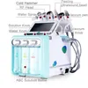 Hot 6 i 1 skalning Portable Micarodermabrasion Skin Rejuvenation H2O2 Small Bubble Odermabrasion Beauty Cleansing Device CE Certification Factory Direct Sales