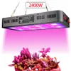 LED 가벼운 전체 스펙트럼 1200W 2400W Dimmable Veg Bloom Mode 실내 식물과 꽃 온실 재배를위한 램프 성장 램프