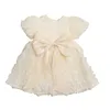 Girl's Dresses Girls Party Wear Cute Infant Christening Gowns Children's Princess Dresses For Toddler Evening Dress with Big