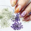 Decorations 100pcs/Set Dried Flowers for Nail Art Decorations Natural Floral Manicure Charm Accessories Supplies for UV Gel Acrylic Nails