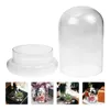 Decoratieve Bloemen Bloem Koepel Vazen Helder Glas Cloche Infuser Base Woondecoratie Display Bell Cupcake Cover Jar