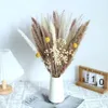 Decoratieve Bloemen Natuurlijk Klein Pampas Gras Boeket Echte Daad Gedroogd Voor Slaapkamer Woonkamer Decoratie Kunstmatig Gekweekt