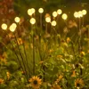 Luce solare a LED per esterni Decorazione da giardino Luci paesaggistiche Fuochi d'artificio Lucciola Lampade da prato Casa di campagna Terrazza Lampada da balcone