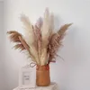 Fiori decorativi Bouquet di erba di pampa di grandi dimensioni 80 cm Canna naturale Bohemian Chic Wedding Home Country Fall Decor Po Puntelli Decorazione