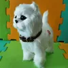 دمى Plush Robot Dog Toys التفاعلية Cat Puppy Control Control Teddy Walk Bark Nod Music Touch Robotic Animal Pet 230531