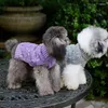 Camisolas de vestuário para cães para cães elegantes cores misturadas inverno quente pequena gola alta roupa de malha para animais de estimação chihuahua yorki