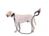 Hondenkragen Kwaliteit Dikke Nylon -riem comfortabel lederen controle voor kleine middelgrote Pitbull Gold Retriever Accessories