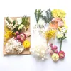 Fleurs décoratives Fleurs séchées DIY Bougie Faire Simulation Hortensia Chrysanthème Pétales De Gypsophile Matériel De Gaufrage Pour Cadre Po