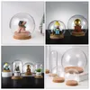 Fleurs décoratives 5 pièces gâteau dôme couverture multi-fonction créative Transparent exquis Cloche pour plantes verre Festival cadeau